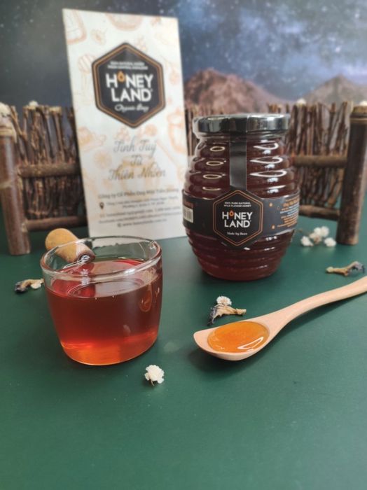 Hình ảnh sản phẩm mật ong cao cấp từ HONEY LAND