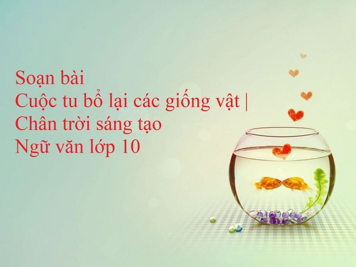 Tranh minh họa số 2: Cuộc tu bổ kỳ diệu của các thiên thần (Nguồn: Internet)