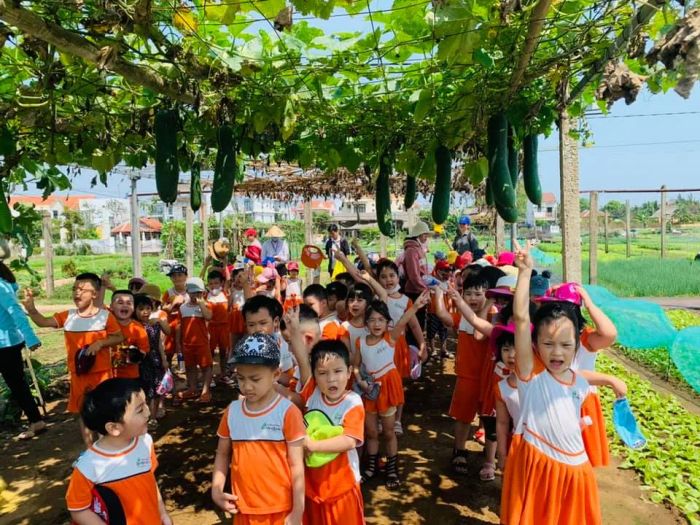 Trường Mầm Non Búp Sen Xanh - Sân chơi rộn rã tiếng cười, nơi những bước chân nhỏ học cách bay cao cùng ước mơ.