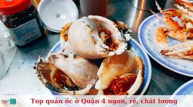 Ốc Sóc - Thiên đường ốc giá rẻ