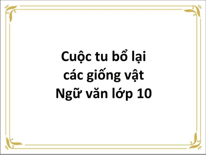 Hình ảnh minh họa số 2 (Nguồn: Tổng hợp từ internet)