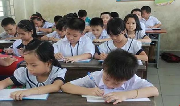 Hình ảnh đầu tiên về Trường Tiểu học Đức Trí - ngôi trường khang trang với khuôn viên xanh mát