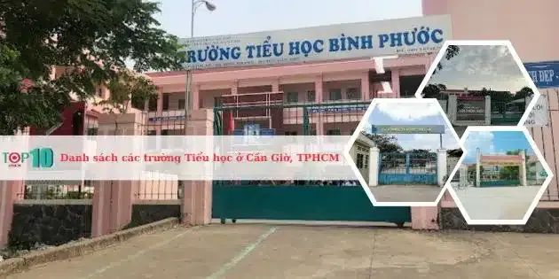Danh sách đầy đủ các trường Tiểu học ưu tú ở huyện Cần Giờ, thành phố Hồ Chí Minh