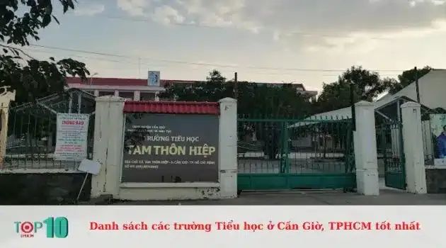 Trường Tiểu Học Tam Thôn Hiệp - Nơi chắp cánh những ước mơ