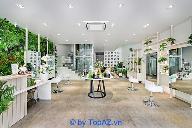 Địa chỉ vàng về spa gội đầu dưỡng sinh thảo dược chuẩn phong cách chuyên nghiệp tại Quận 2