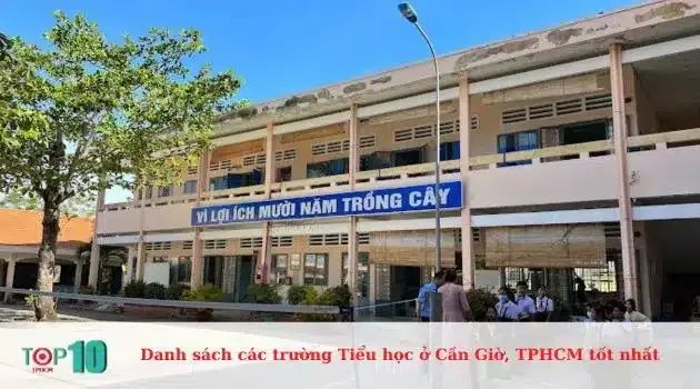 Trường Tiểu Học Đồng Hoà - Nơi ươm mầm tri thức và đạo đức