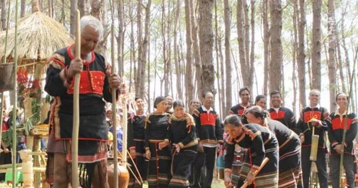 Bức ảnh minh họa số 1 với góc nhìn nghệ thuật ấn tượng