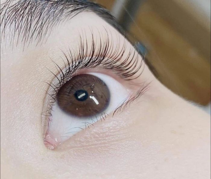 Kết quả nối mi tự nhiên tại Hậu Dương Nail & Mi