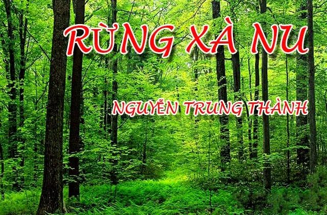 Hình ảnh minh họa số 1: Rừng xà nu bất khuất