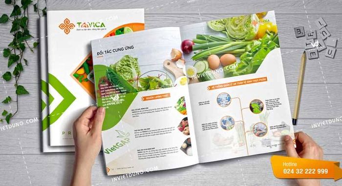 Bộ sưu tập mẫu profile ấn tượng của In Việt Dũng