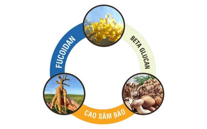 Ancan Fucoidan - Bộ ba dược liệu quý trong một sản phẩm (Ảnh 2)