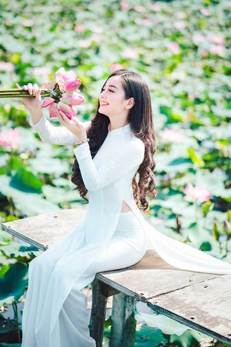 Hình ảnh minh họa áo dài Việt Nam đa dạng