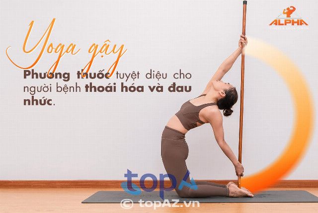 Alpha Fitness & Yoga Center - Nơi kiến tạo phong cách sống khỏe