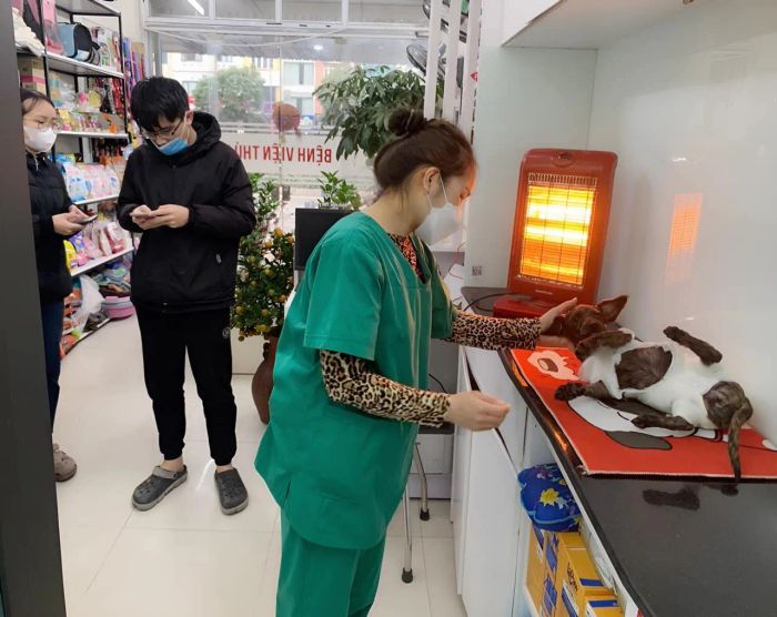 Hình ảnh cơ sở vật chất hiện đại tại Thú Y 4Pet
