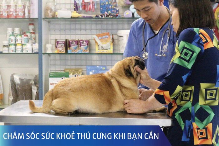 Hình ảnh đội ngũ bác sĩ chuyên nghiệp Thành Vinh PET