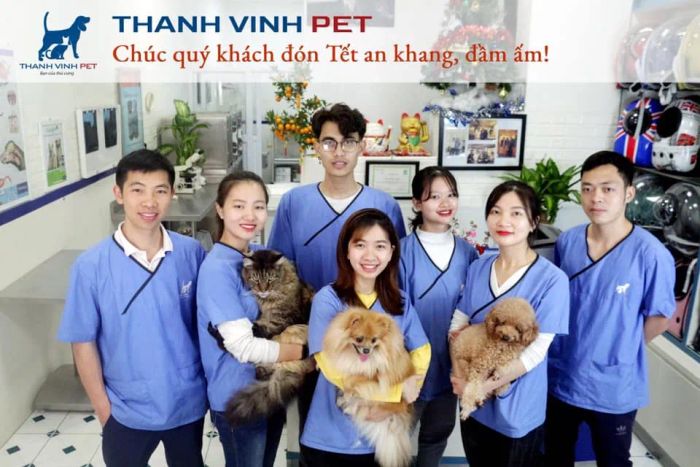 Hình ảnh cơ sở vật chất hiện đại tại Thành Vinh PET