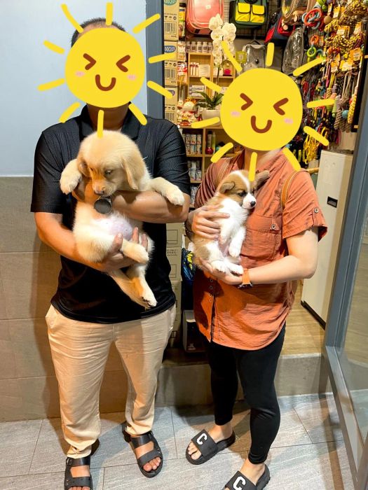 Hình ảnh Lê Trung Pet (Nguồn: Internet)