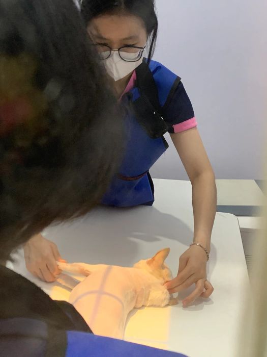 Hình ảnh cơ sở vật chất hiện đại tại Samyang Animal Clinic