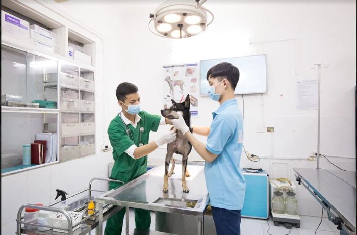 Hình ảnh minh họa khách hàng đánh giá dịch vụ (Nguồn: Internet)