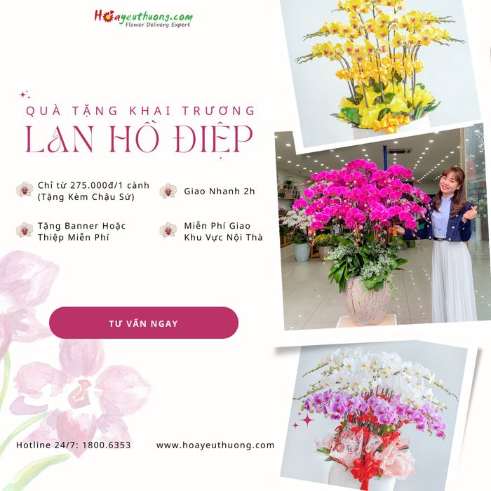 Shop Hoa Yêu Thương ảnh 1 - Kiệt tác đầu tiên trong bộ sưu tập lan hồ điệp đẳng cấp