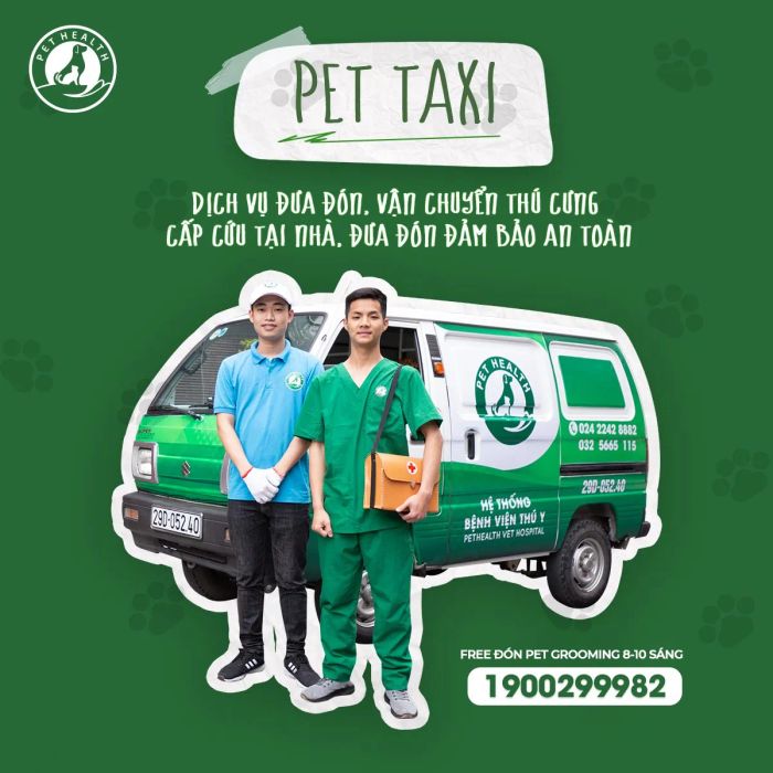 Hình ảnh đội ngũ bác sĩ chuyên nghiệp tại PetHealth