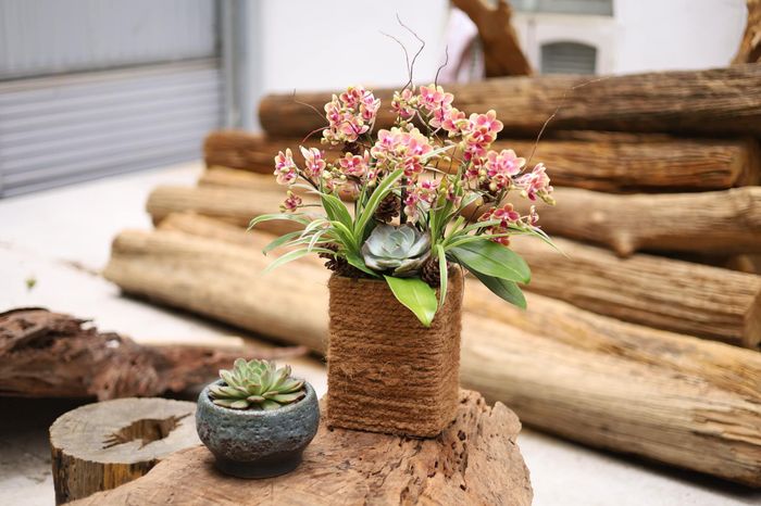 Dalas Orchid ảnh 2 - Tác phẩm nghệ thuật thứ hai từ xưởng hoa 10 năm kinh nghiệm