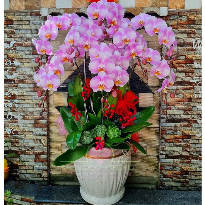 Hoa Lan Bảo Ngọc ảnh 2 - Kiệt tác lan hồ điệp được chế tác tỉ mỉ bởi bàn tay nghệ nhân