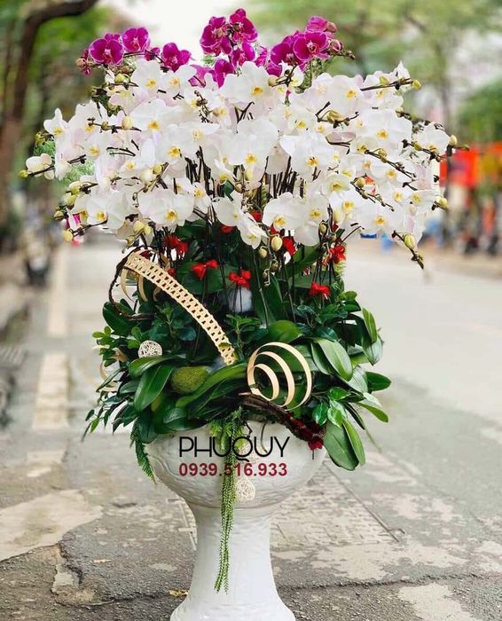 Không gian trưng bày sang trọng tại Hoa Lan Phú Quý