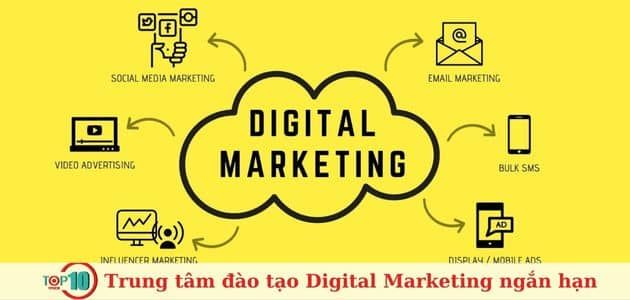Enternet Việt Nam - Đồng hành cùng sự nghiệp Digital Marketing của bạn