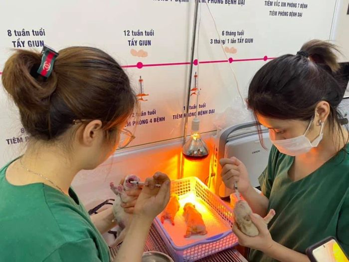 Hình ảnh đội ngũ bác sĩ chuyên nghiệp Bệnh viện Thú y Mỹ Đình