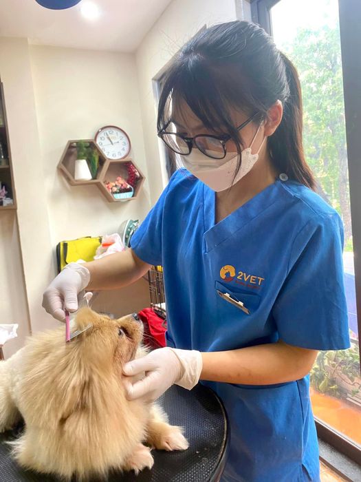 Hình ảnh minh họa chân thực về cơ sở vật chất và dịch vụ (Nguồn: Bệnh viện Thú y 2Vet)