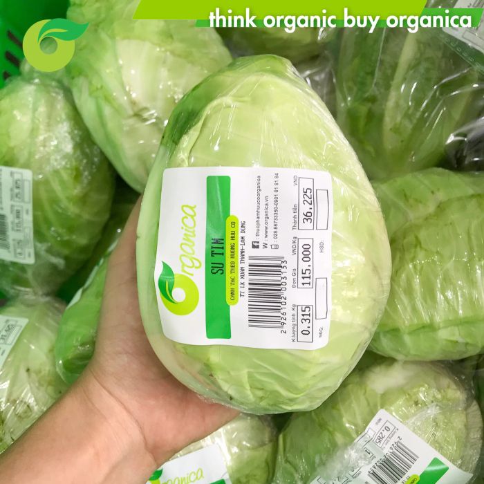 Không gian trưng bày sang trọng tại Organica Đà Nẵng