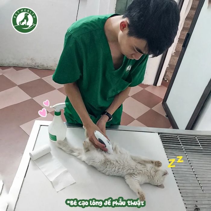 Hành trình chữa trị đầy cảm xúc qua hình ảnh (Nguồn: Bệnh Viện Thú Y PetHealth)