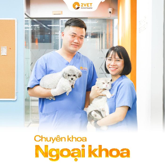 Ảnh minh họa chân thực từ Bệnh viện Thú y 2Vet (ảnh 1)