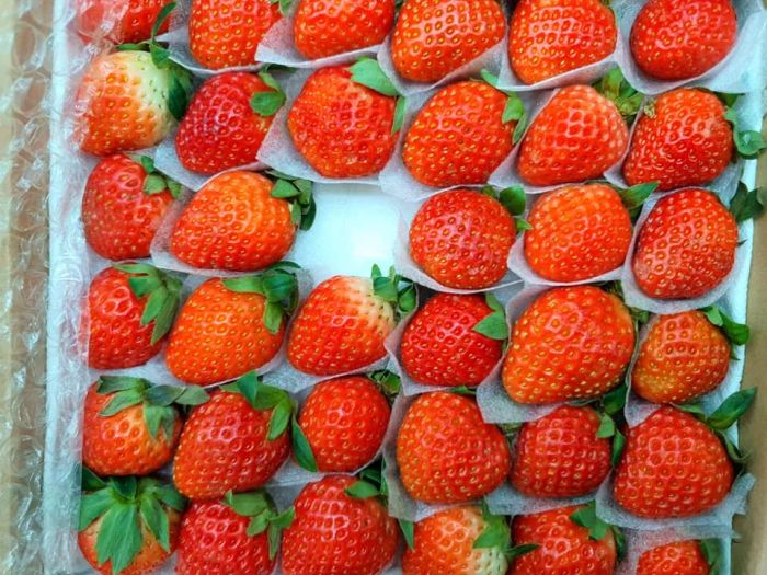 Khu vực trái cây và đặc sản địa phương tại NongPro