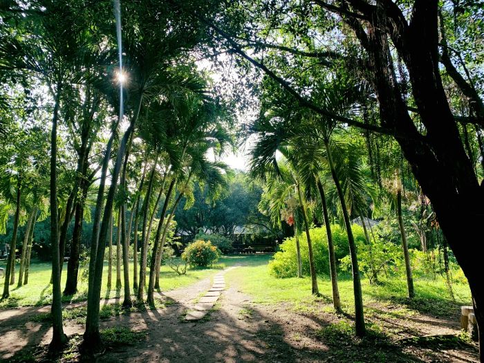 Hình ảnh tuyệt đẹp về thiên đường sinh thái Bò Cạp Vàng
