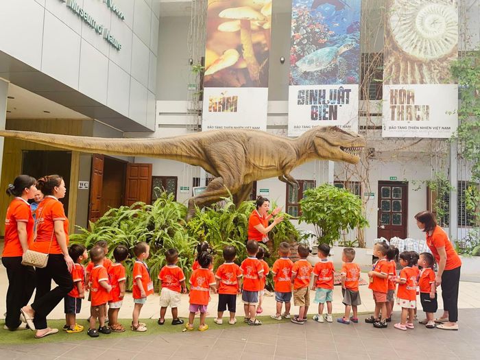 Bộ ảnh sinh động về các hoạt động học tập và vui chơi tại hệ thống Amon Kindercare