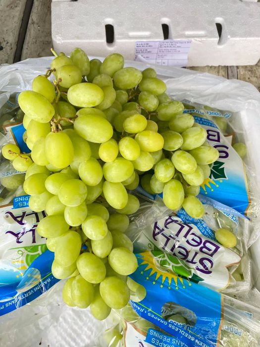 Khu vực thực phẩm đa dạng, đảm bảo vệ sinh tại Tâm An
