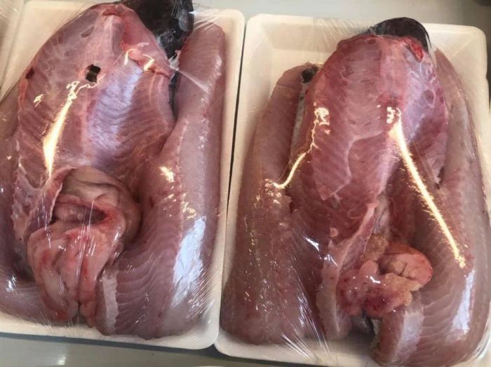 Không gian xanh mát với các loại rau củ tươi ngon tại Tâm An