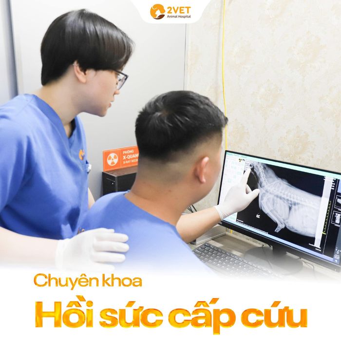 Hình ảnh minh họa chất lượng dịch vụ tại 2Vet (Nguồn: Bệnh viện Thú y 2Vet)