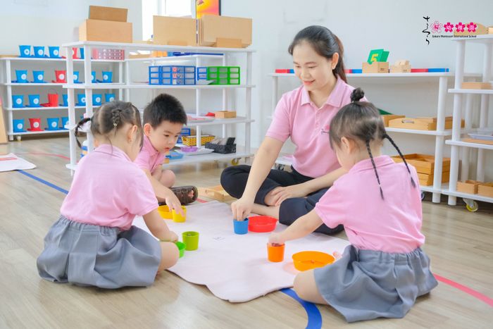 Bộ ảnh thực tế sinh động về các hoạt động học tập và vui chơi tại Sakura Montessori