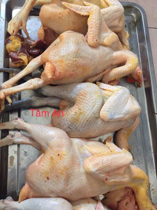 Góc trưng bày trái cây tươi mới mỗi ngày tại Tâm An
