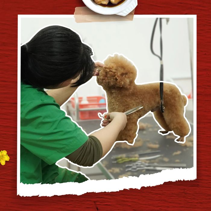 Không gian phòng khám hiện đại tại PetHealth (Nguồn: Bệnh Viện Thú Y PetHealth)