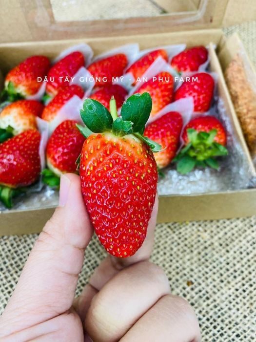 Khu vực thịt và thủy sản tươi sống đạt chuẩn tại An Phú Farm
