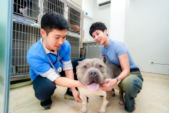 Không gian chăm sóc thú cưng đạt chuẩn tại Thành Vinh PET