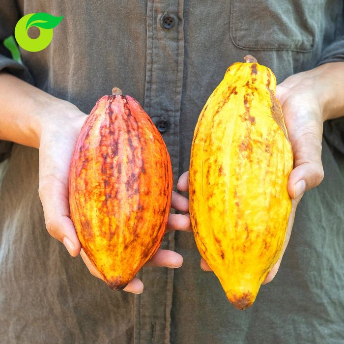Góc trưng bày sản phẩm hữu cơ đặc trưng tại Organica Đà Nẵng