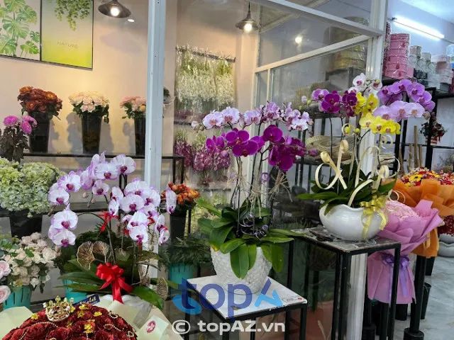 Violet Flower Shop tại Kiên Giang