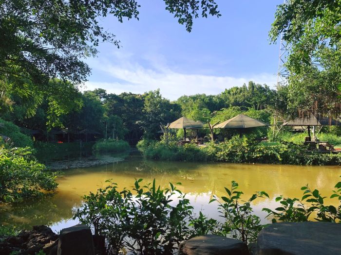 Bộ sưu tập ảnh đẹp về Khu du lịch Bò Cạp Vàng