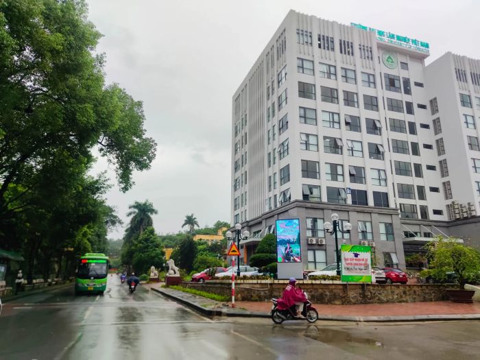 Không gian xanh mát tại Đại học Lâm Nghiệp (VNUF)