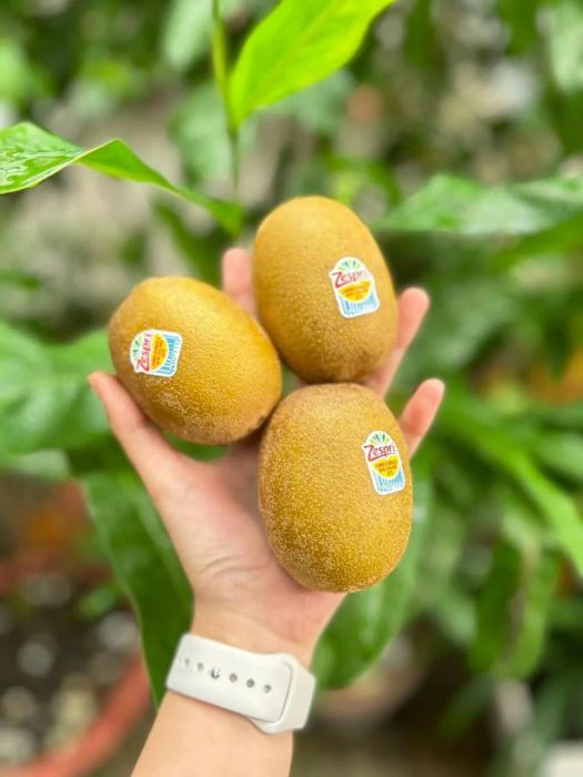 Hình ảnh đầu tiên về Zalo Fresh Food - Nơi hội tụ tinh hoa ẩm thực xanh